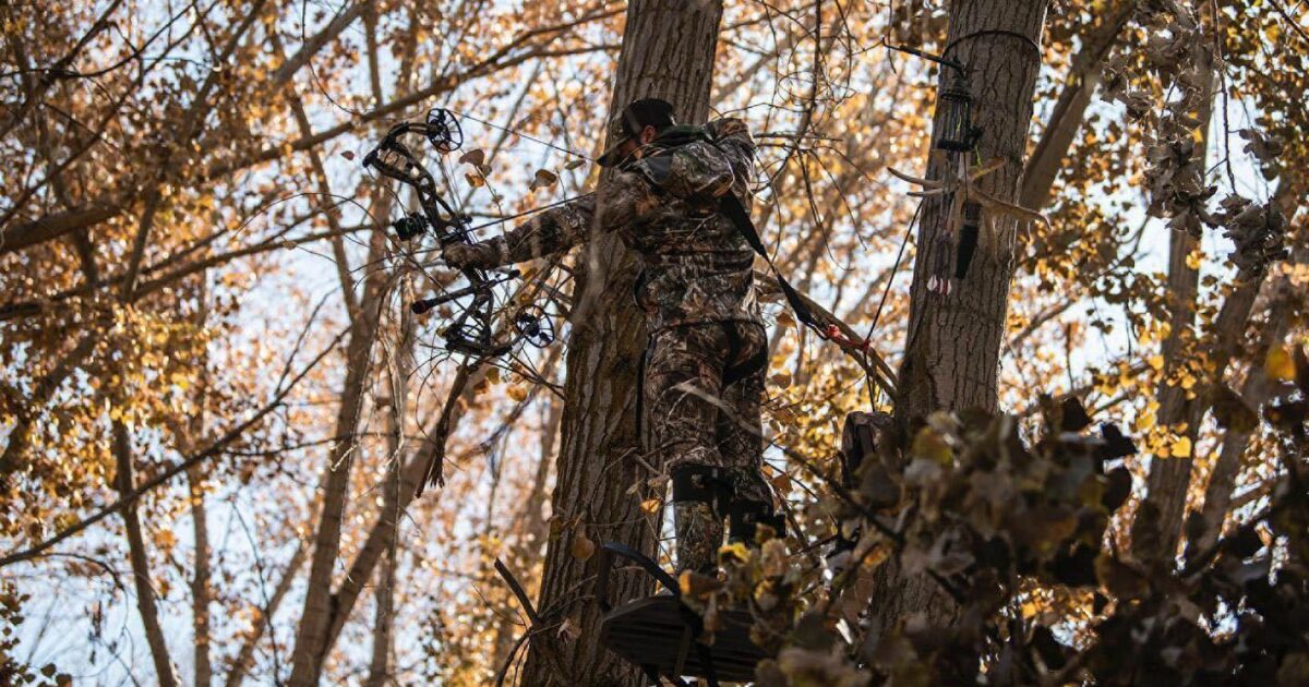 Bow Review: Hoyt Carbon RX4 Alpha | Hunting Retailer