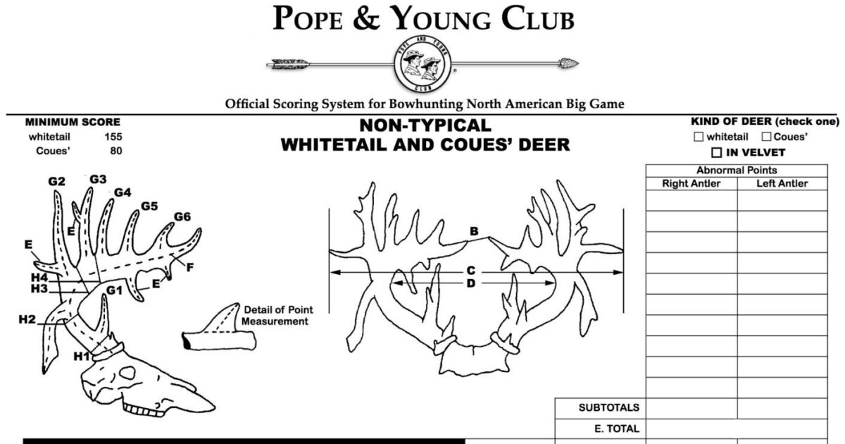 Pope And Young Club Announces Entry Fee Increase Hunting Retailer